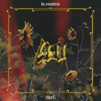 40 - Single - Chief & bc.einstein