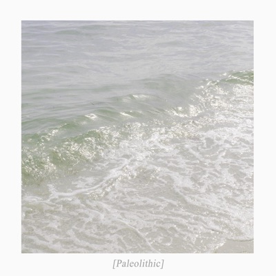 Paleolithic - Single