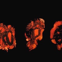 C/O/F - Single - kaiido