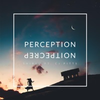 Perception (feat. Cj Pitts) - Single - Shiruu