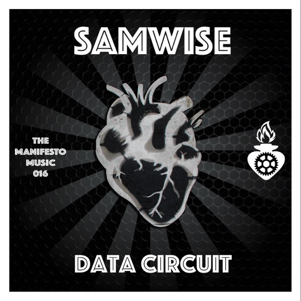 Data Circuit - Single