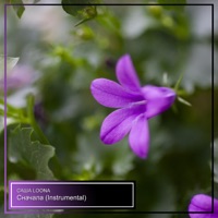 Сначала (Instrumental) - Single - САША LOONA