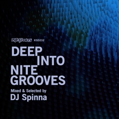 Deep Into Nite Grooves