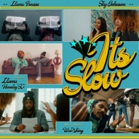 It's Slow - Single - LLama Fine$$e & Sky Johnson