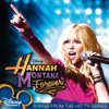 Hannah Montana - I'll Always Remember You artwork