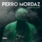 Callejero Enlace (feat. Rezonancia) - Perro Mordaz lyrics