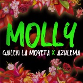 Molly (feat. Gailen La Moyeta) [Dembow] artwork