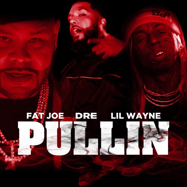 Pullin - Single - Fat Joe, Dre & Lil Wayne