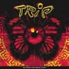 TRIP (feat. Javitx) - Single