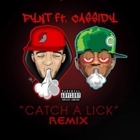 Catch a Lick (Remix) [feat. Cassidy] - Single - Pynt