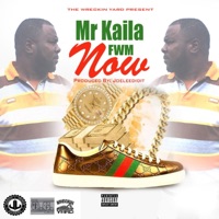 FWM Now - Single - Mr Kaila