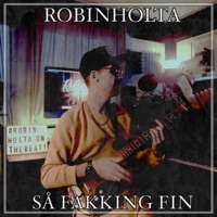 Så fakking fin - Single - Robinholta