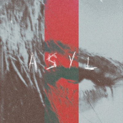 Asyl - Single