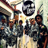 Tal Vez Vuelvas a Llamarme - Single - Luna Llena Salsa Band