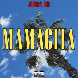 Mamacita (feat. KIM) JunioR