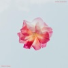 Lucy Harrison You're So Beautiful (feat. Lucy Daigre) You're So Beautiful (feat. Lucy Daigre) - Single