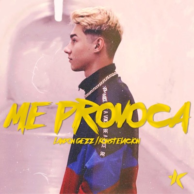 Me Provoca - Single