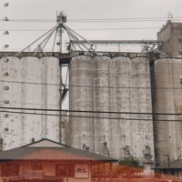 Squish - Single - Flapjaques