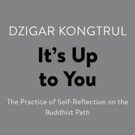 It's Up to You: The Practice of Self-Reflection on the Buddhist Path (Unabridged)