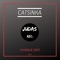 Once Again - Catsinka lyrics