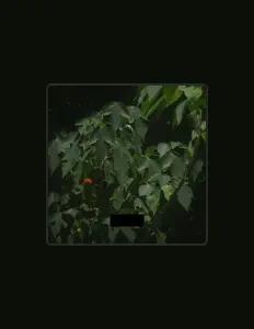 Escucha a Custodian, mira videos musicales, lee su biografía, consulta las fechas de las gira y más.