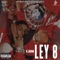 Ley 8 - K John lyrics