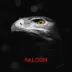 Falcon song reviews