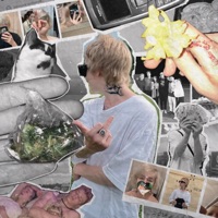 Новогодняя - Single - lamj2