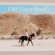 Old Town Road (Acoustic) - Tiffany Alvord