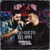 Não Gosto Eu Amo artwork