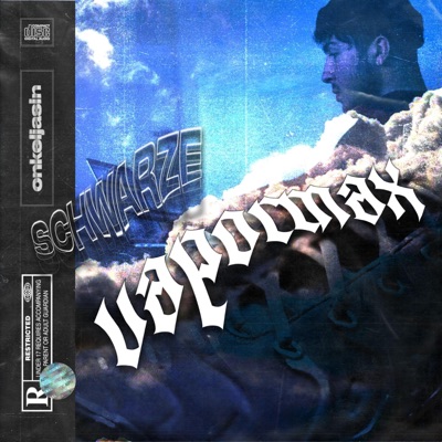 Schwarze Vapormax - Single