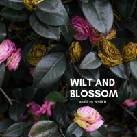 I Don't Need Gold (Intro) - Single - Nair B