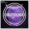 Phases (feat. The Arcturians) - Single