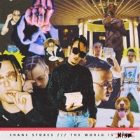 THE WORLD IS MINE - Shane Stokes