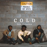 Cold (feat. Svnset) - Single - New Solution