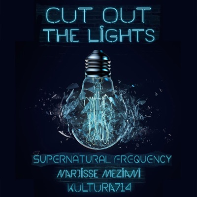 Cut Out the Lights (feat. Narjisse Meziani & Kultura714) - Single