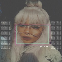 Fvck X, Vol. 2 - Jvst X