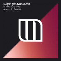 In Your Dreams (Asteroid Remix) [feat. Diana Leah] - Single - Sunset