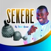 Yomi Apase - All Things Are New