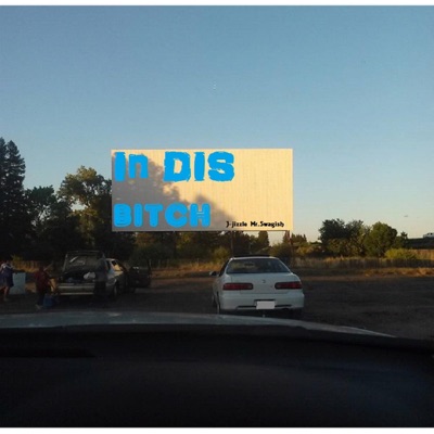 In DIS Bitch - Single