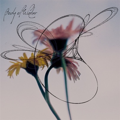 Body of Water - Single