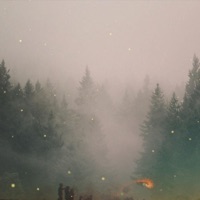 Ashdown Forest / Dawn - Single - No Sugar No Calories & Noflik