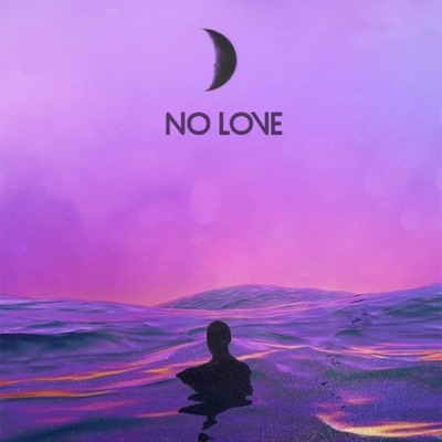 No love - Single