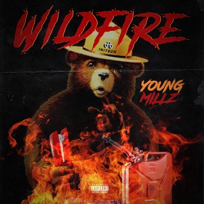 Wildfire - Single