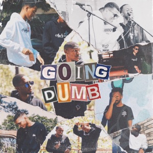 Going Dumb (feat. Farrel_X & Leo)