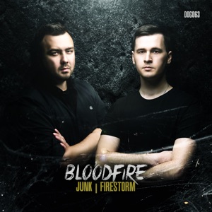Junk / Firestorm - Single