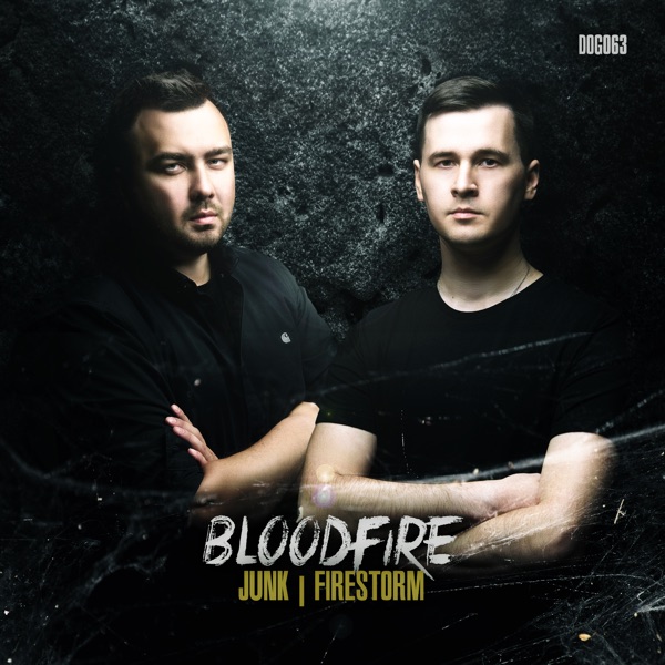 Junk / Firestorm - Single