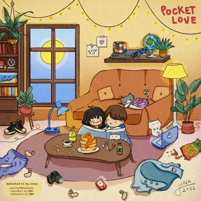 Pocket Love - Single