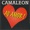 Camaleon - Un Poquito - 1989