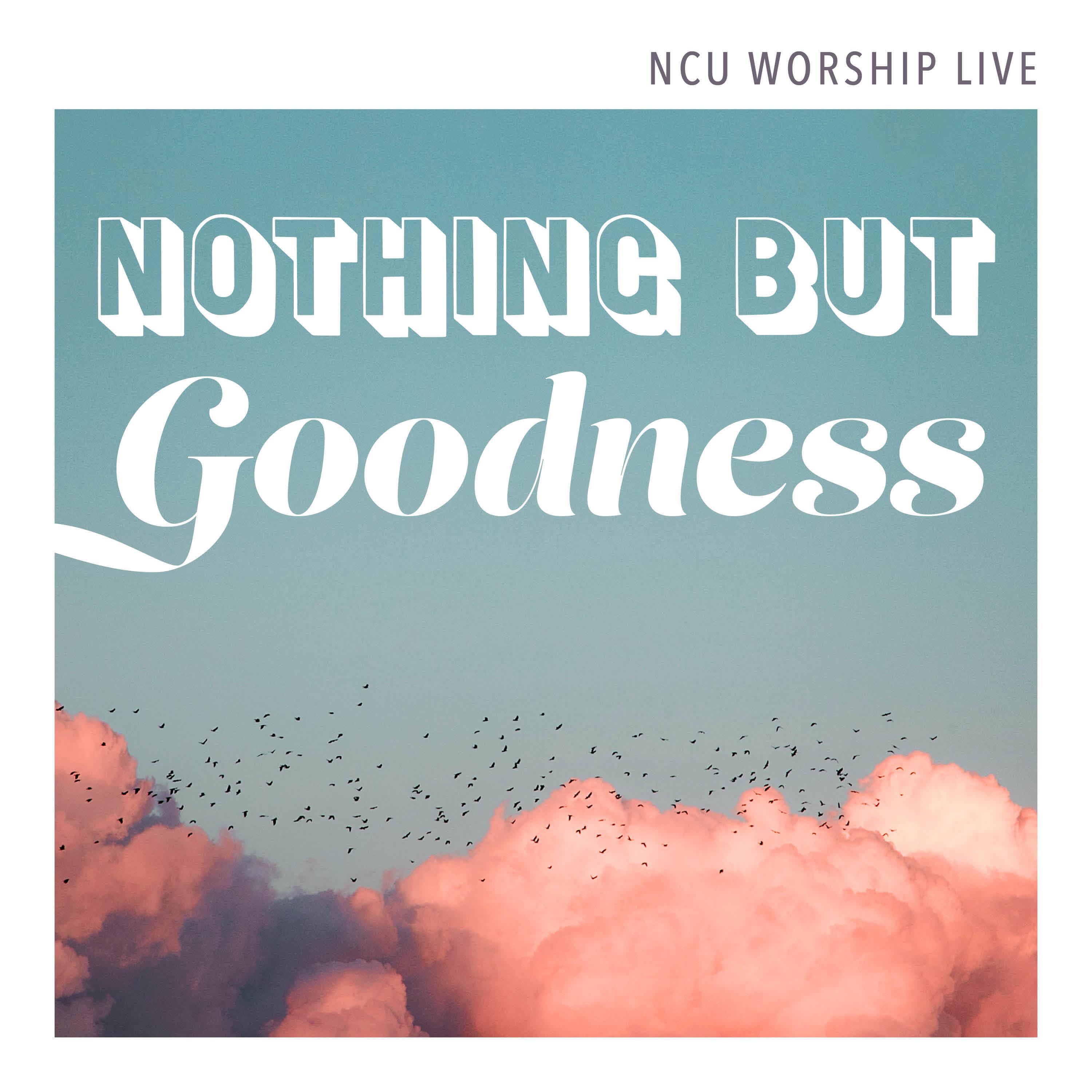 Nothing but Goodness - Single